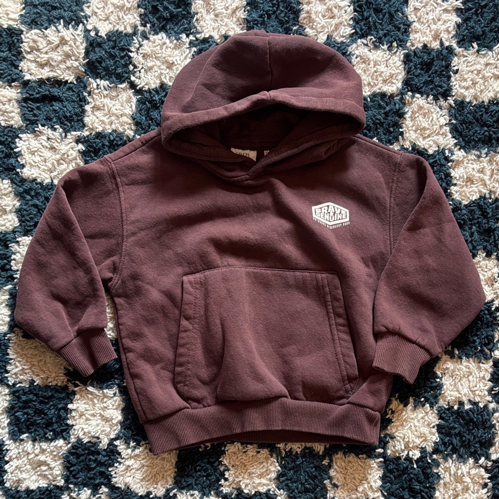 Brown Zara Toddler Hoodie